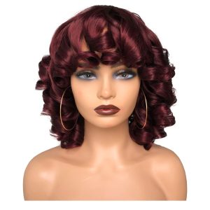 curly human hair wigs